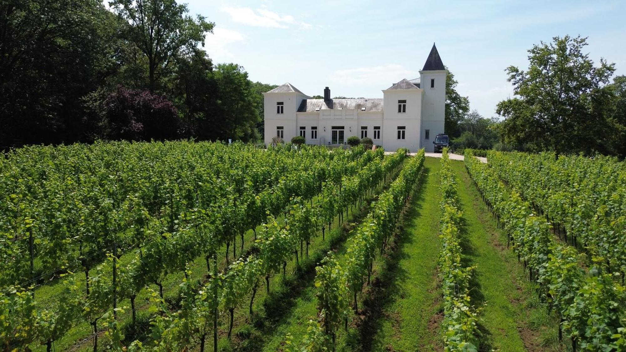 Villa Wijnkasteel Haksberg Tielt Esterno foto